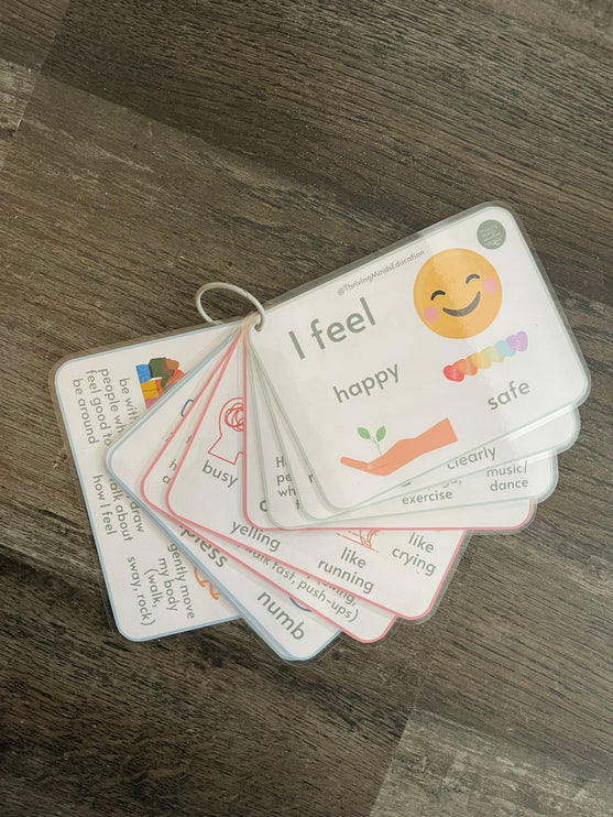 Feelings and Regulation Idea Cards- Laminated Cards