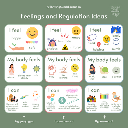 Feelings and Regulation Idea Cards- Laminated Cards