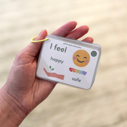 Feelings and Regulation Idea Cards- Laminated Cards