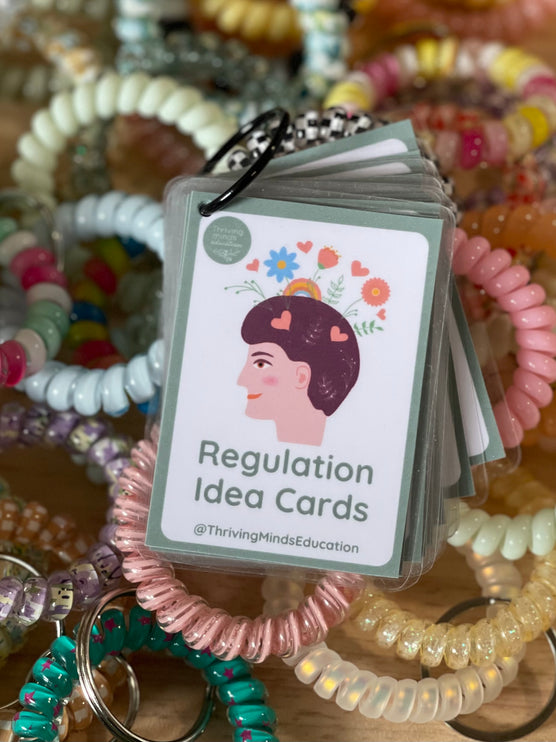 Laminated Regulation Idea Cards