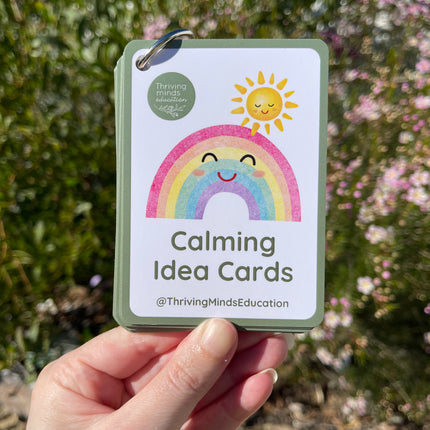 Calming Idea Cards- Ringed Set