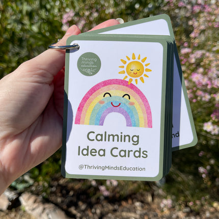 Calming Idea Cards- Ringed Set