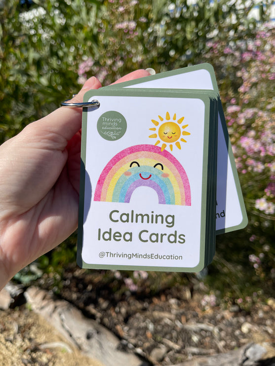 Calming Idea Cards- Ringed Set