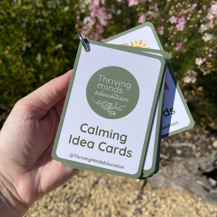 Calming Idea Cards- Ringed Set