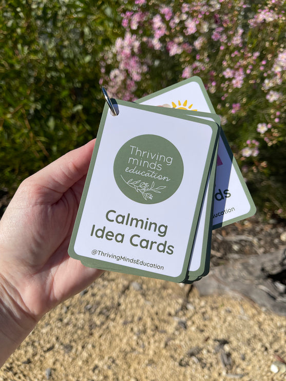 Calming Idea Cards- Ringed Set
