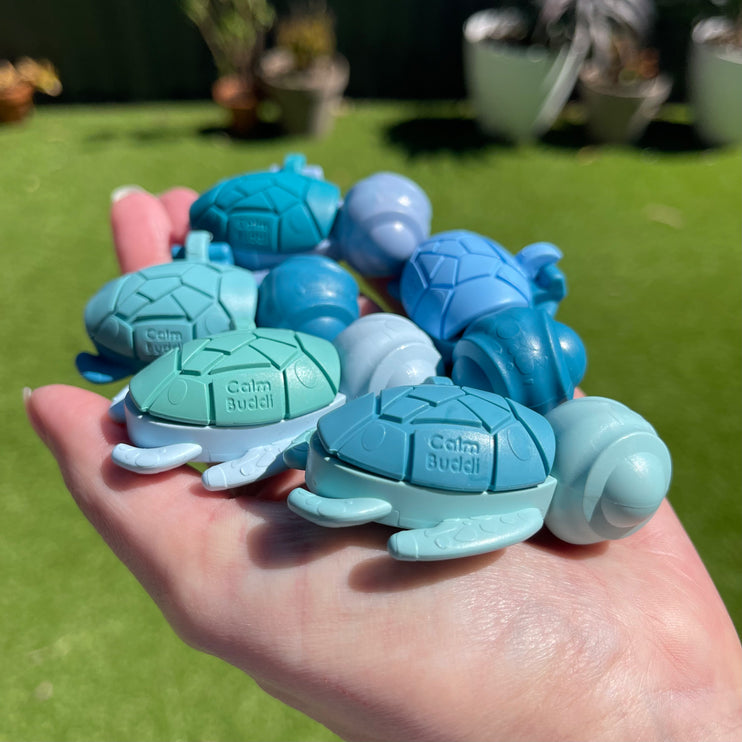 Calm Buddi Turtle- Ocean