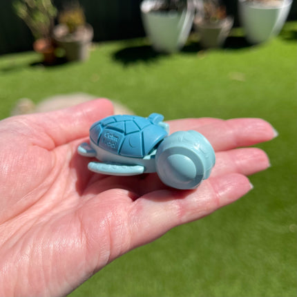 Calm Buddi Turtle- Ocean