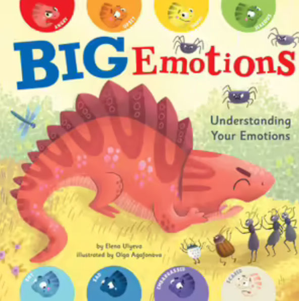 Big Emotions: Understanding Your Emotions
