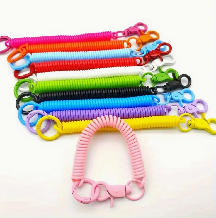 Colourful Spring Coil Keyring
