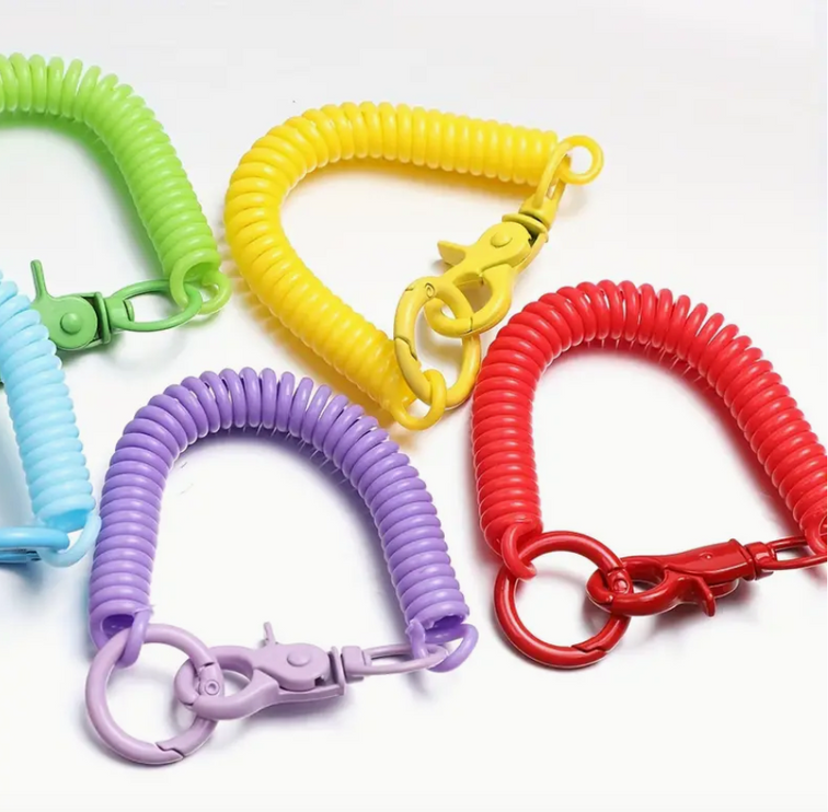 Colourful Spring Coil Keyring