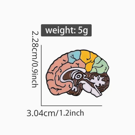 'Brain Anatomy' Pin