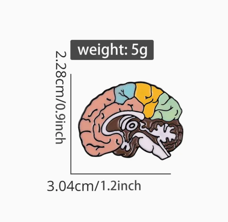 'Brain Anatomy' Pin