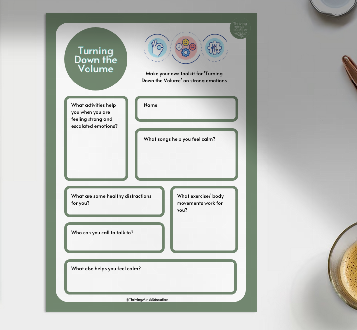 'Turning Down the Volume'- Digital Worksheet Activity