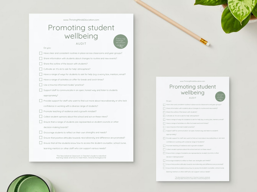 Promoting student wellbeing audit- Digital Checklist