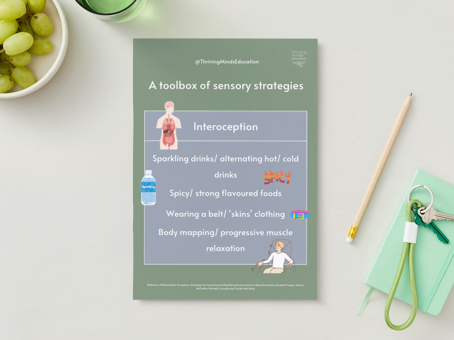 'A toolbox of sensory strategies'- 9 x Digital Posters