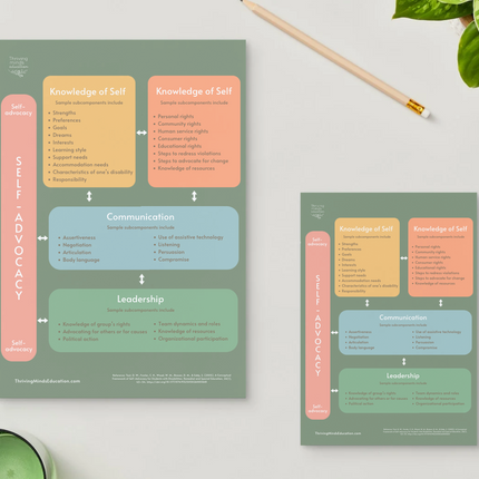 Conceptual Framework of Self-Advocacy for disabled students- Digital Poster