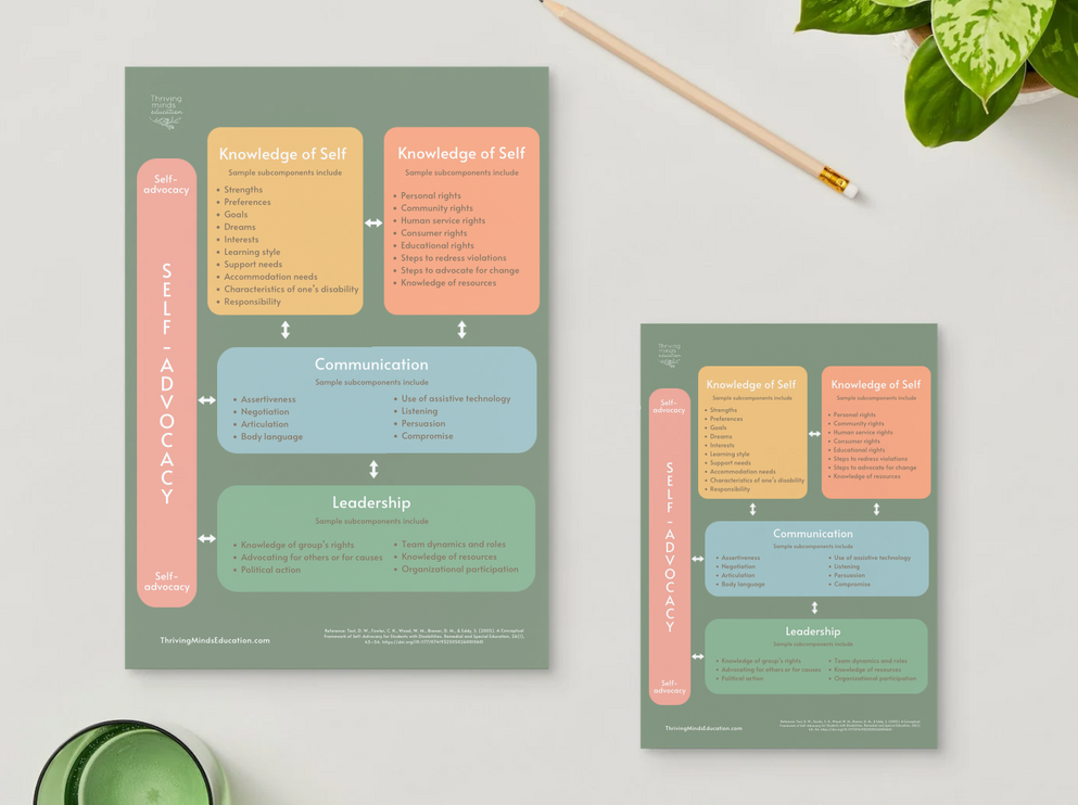 Conceptual Framework of Self-Advocacy for disabled students- Digital Poster