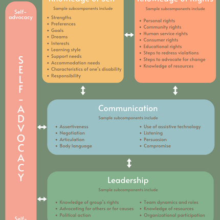 Conceptual Framework of Self-Advocacy for disabled students- Digital Poster