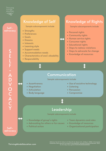 Conceptual Framework of Self-Advocacy for disabled students- Digital Poster