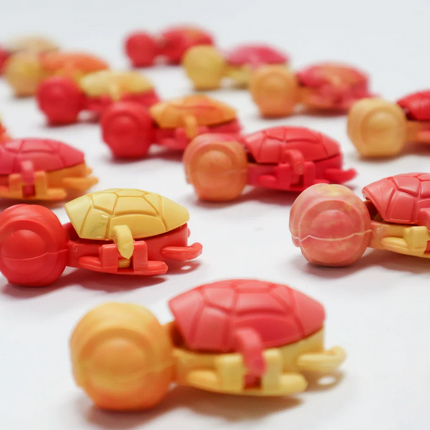 Calm Buddi Turtle- Lava