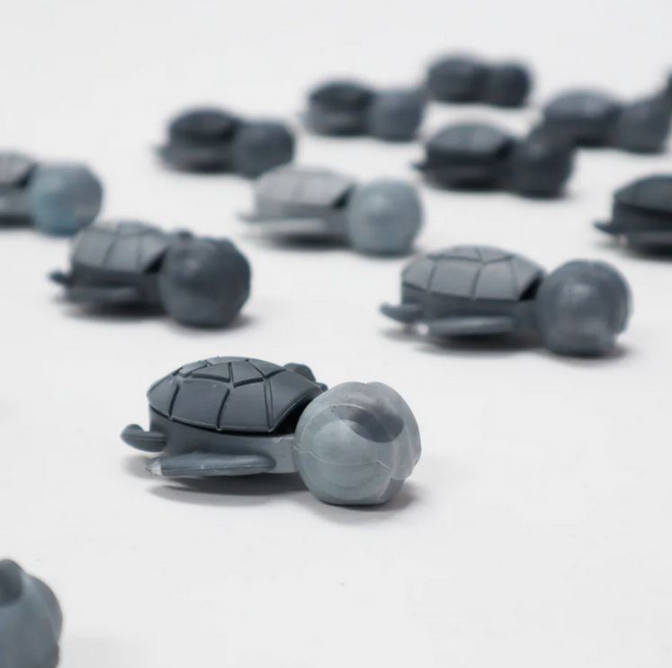 Calm Buddi Turtle- Storm