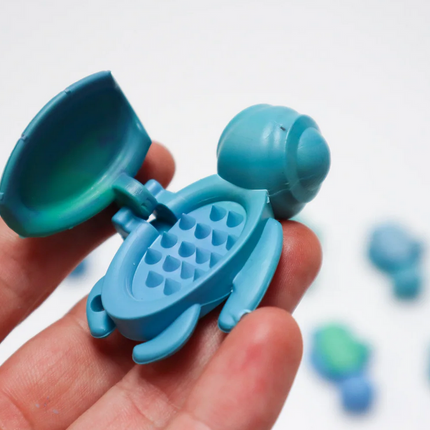 Calm Buddi Turtle- Ocean