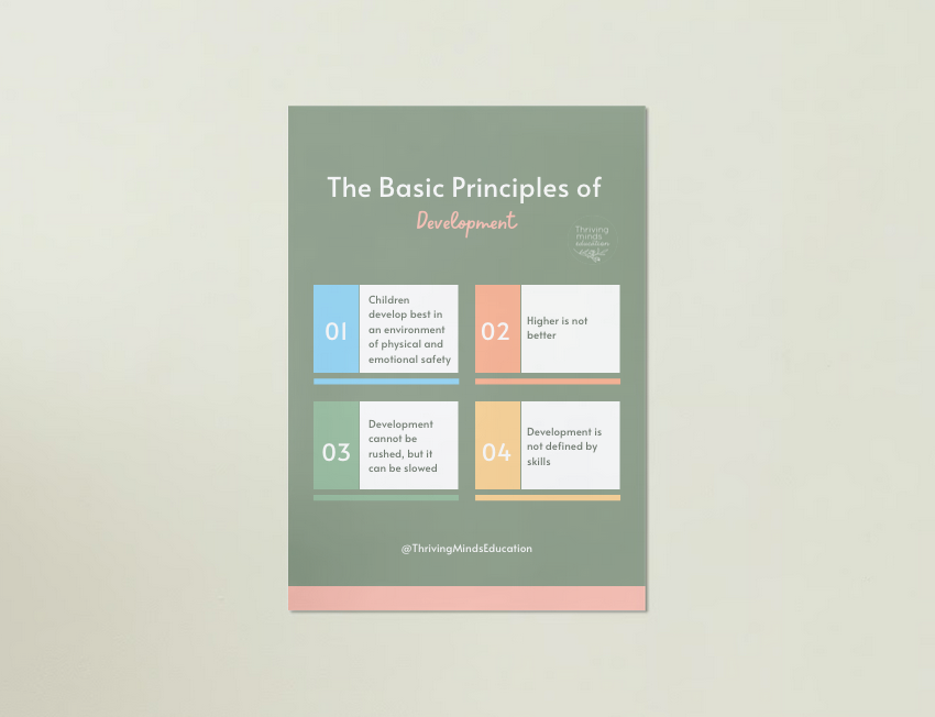 Development Principles Digital Download Poster: The Basic Principles of Development – Thriving ...