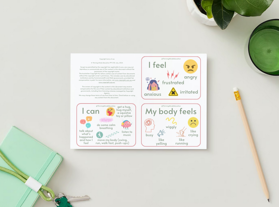 Feelings and Regulation Idea Cards- Digital Download Version