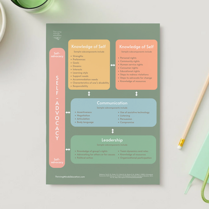 Conceptual Framework of Self-Advocacy for disabled students- Digital Poster