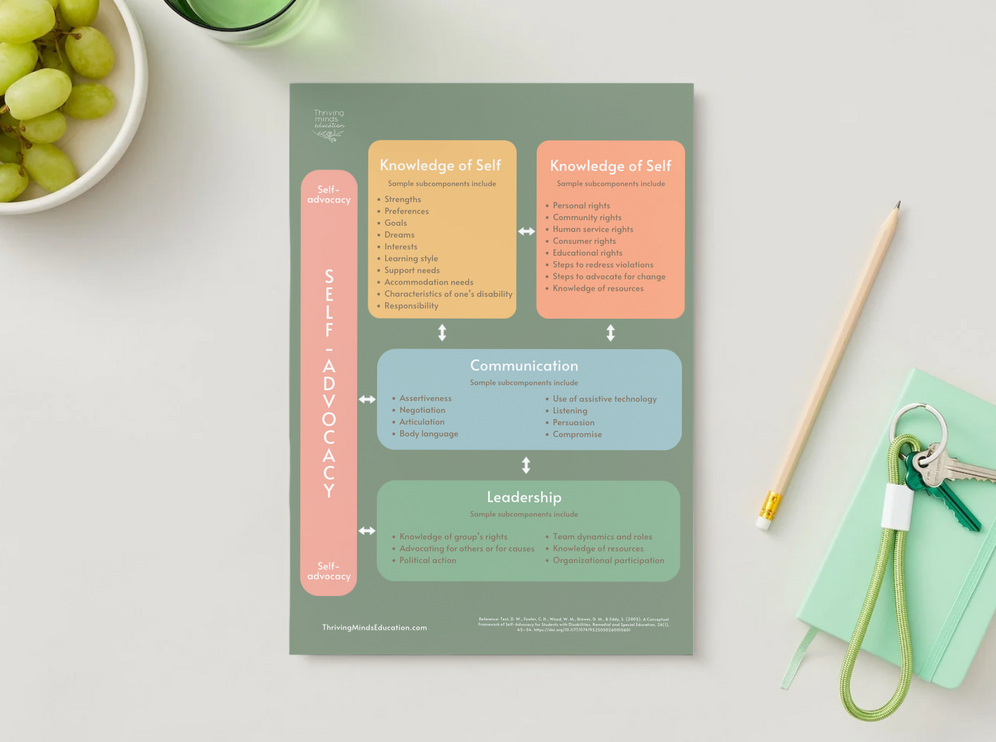 Conceptual Framework of Self-Advocacy for disabled students- Digital Poster