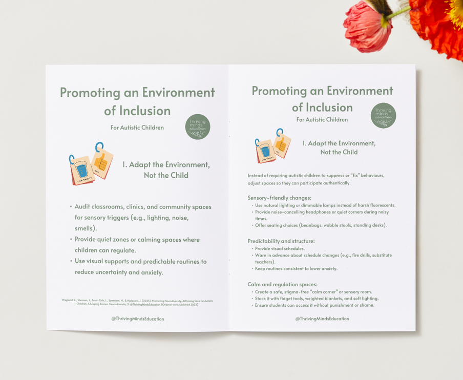 Promoting an Environment of Inclusion Poster and Information Book
