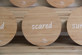 Emotion Portrait Discs