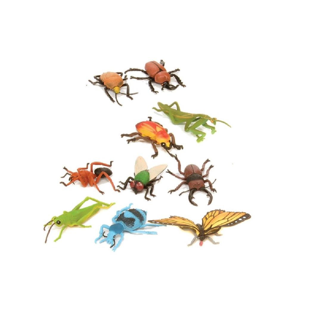 Insect Collection- 10pcs