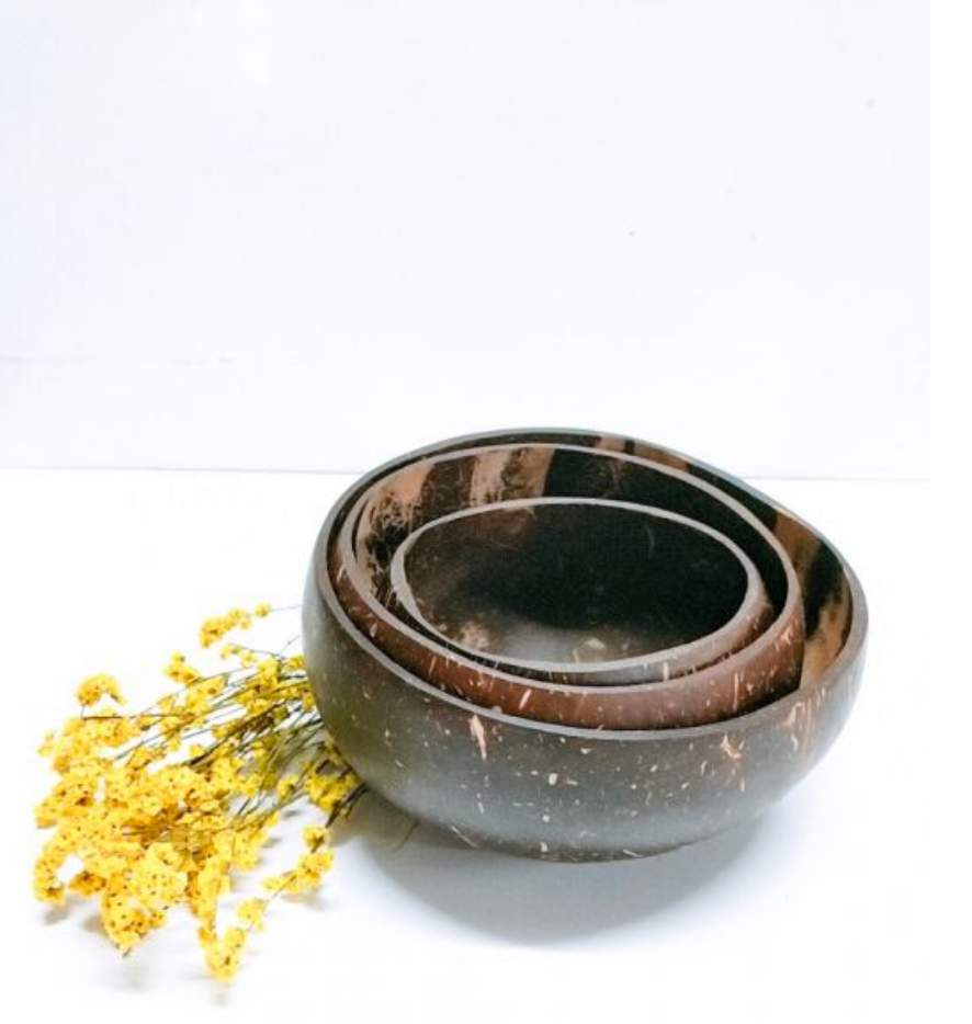 Coconut Small Bowl